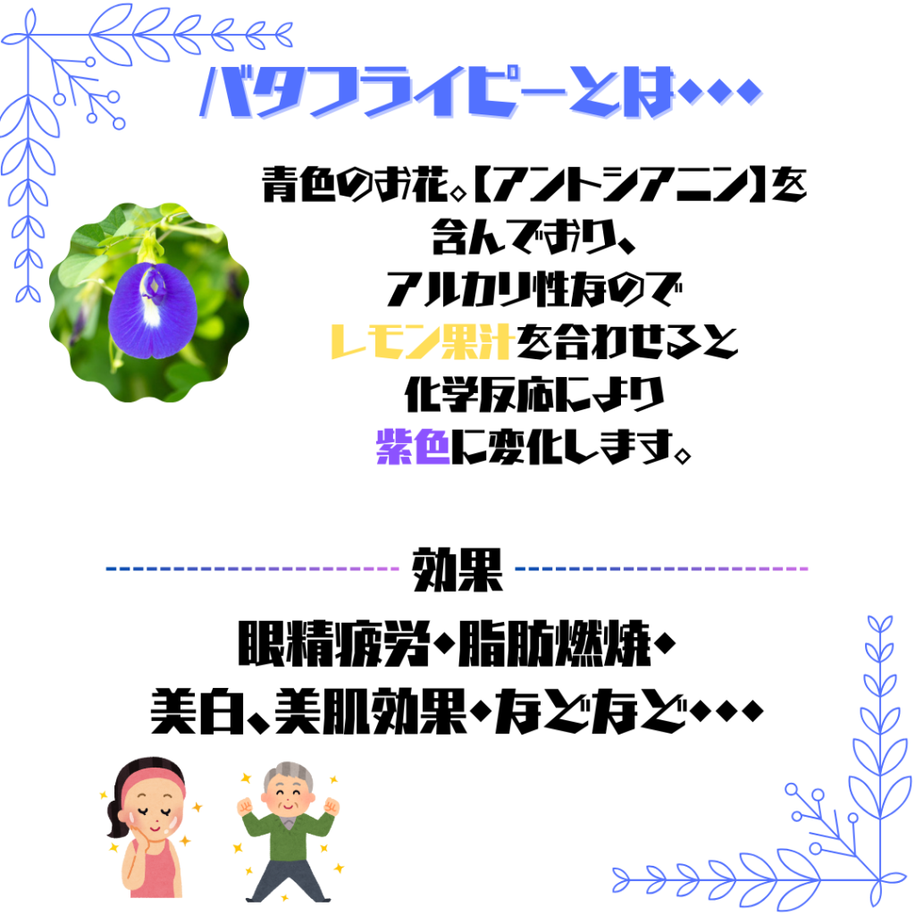 琉球浦添店　琉球三菱　沖縄三菱　沖縄ショールーム沖縄　ショールーム浦添　ディーラー沖縄　ディーラー浦添　バタフライピー　バタフライピーティー　琉球三菱ハロウィン　琉球三菱イベント